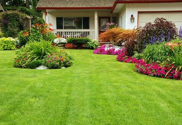 Green Lawn of Texas