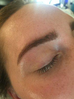 Tinted Brows