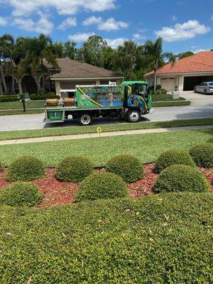 Green, green, green! We strive to make our customers happy!