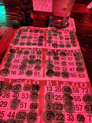 Wednesday is Bingo night!!