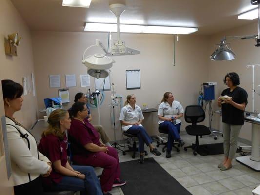 Dental Wet Lab continuing education with Dr. Randi Brannan