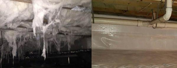 Crawlspace before and after