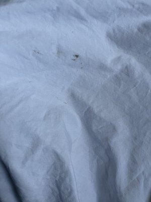 Brown stains on the bedsheet