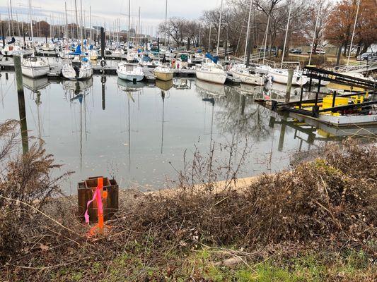 Washington Sailing Marina