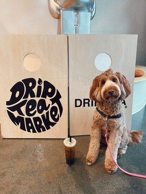 Both Seattle and Kent locations are dog friendly!