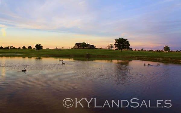 Perryville, Kentucky horse farm land for sale