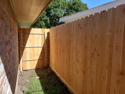 Backyard cedar gate, backside.