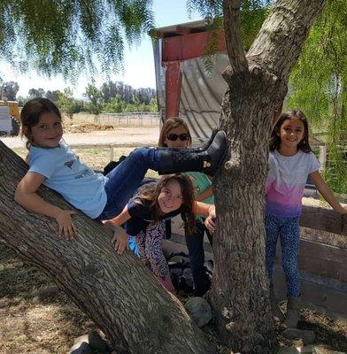 Campers hanging under our peppercorn tree before the ride