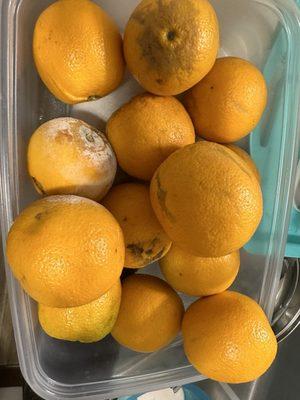 Rotting oranges delivered by moms meals!