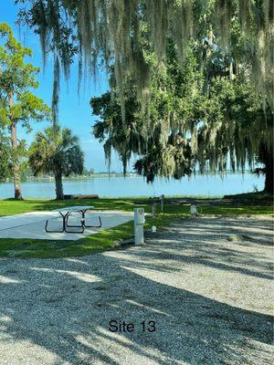 Beautiful Live Oak trees with Spanish Moss