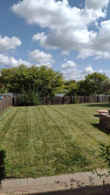 We maintain lawns! Inquire for a price today!