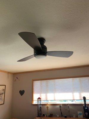 Ceiling fan