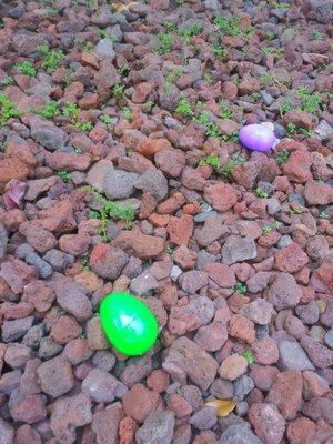 Greek Orthodox Easter eggs