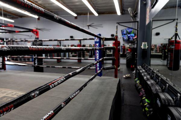 back corner of boxing ring