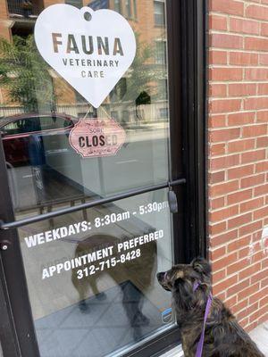 My dog sad that they are closed on a Sunday. She wants more pets!