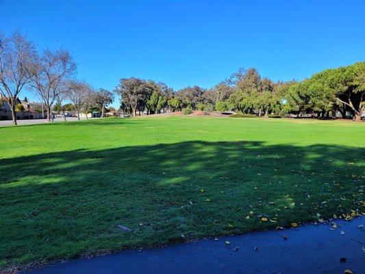 A lovely day at the park!