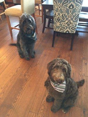 Sweet doodles with their pretty girl hair dos!