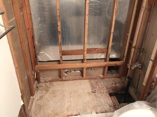 Remove the bathtub and walls from all mold