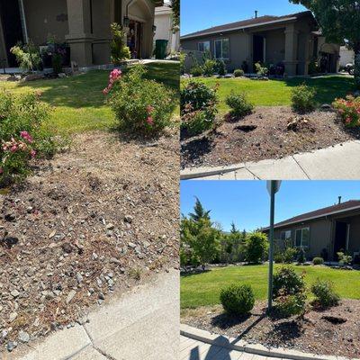 Before and after tree stump..