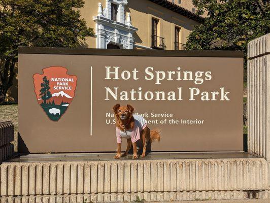 Cute dog may not be present upon your visit (please note national park sign is at the visitor center)