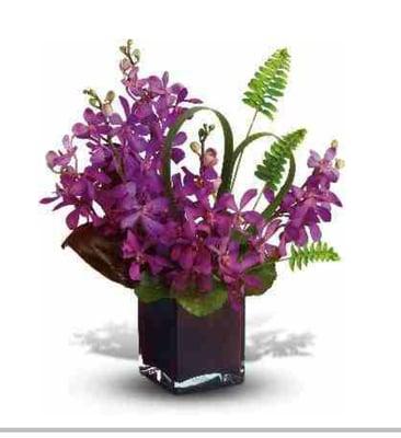 This is what i ordered and i got one single long orchid.....