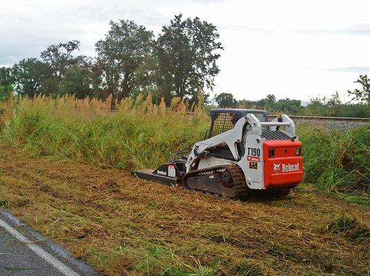 Certified Commercial Tree Care Service Olathe