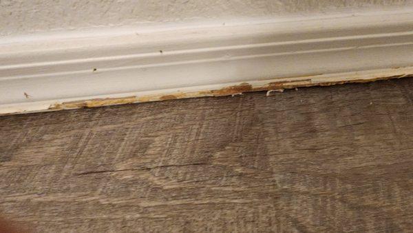 Living room damaged floor boards