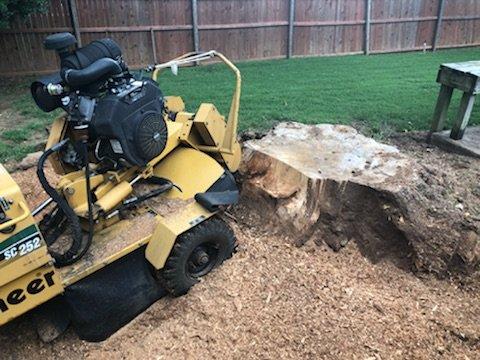 Stump Grinding