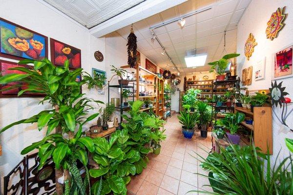 Pottery, succulents, cacti & tropical plants. Tues. - Fri. 11 to 6 pm, Saturday 10 to 5 pm. Photo credit @jeremy_sparig