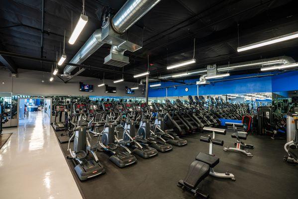 Image of the cardio machines at Movement Fitness Las Vegas.