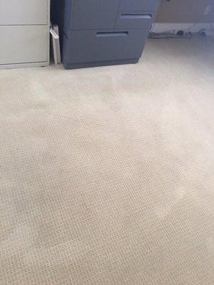 After(carpet is 15 years old and hasn't been cleaned in 8 years)