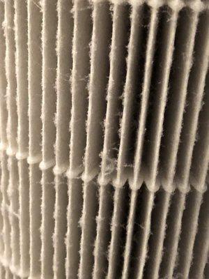 Dust on Hepa filter in my bathroom.