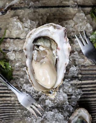 West Coast Oysters (Gigacup)