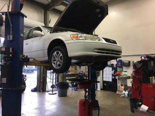 Timing belt replacement