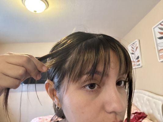 Left side of bangs chunk that was cut off