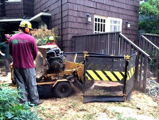 Our stump grinder in action.