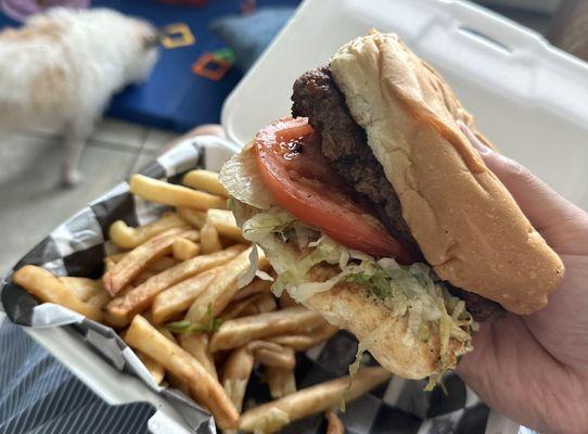 Burger and fries (burger is big but patty is dry)