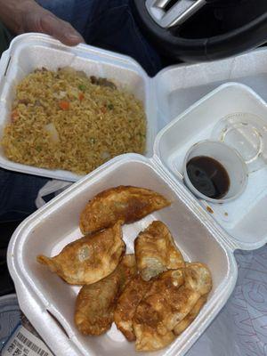 dumpling & combination fried rice