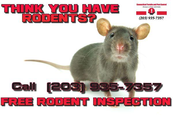 Connecticut Termite and Pest Control