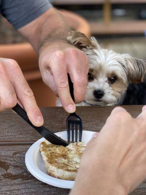 Dog menu chicken