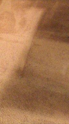 Right side is before carpet cleaned, left side is after. WOW!