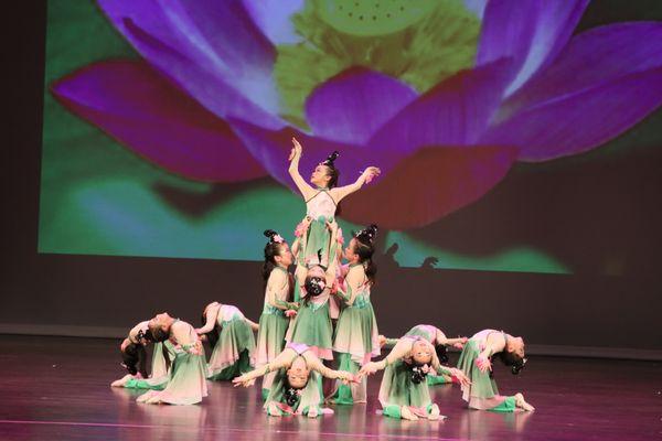 Children Dance "Lotus Dance"_2024
www.aaisfus.com
Admission Open