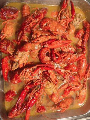 Crawfish