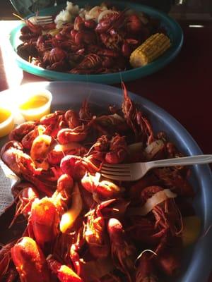 5# crawfish with 1 corn and 2 potatoes