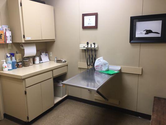 Exam room. Clean and appropriately spaced.