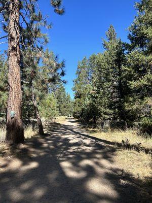 Trail to beach