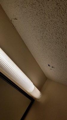 Bathroom ceiling