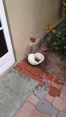 Wastewater dumped on our doorstep by Warren's employee.