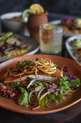 Salmon Salad: Perfect for lunch! Fresh greens, grilled salmon, avocado, queso fresco, and a zesty citrus dressing for a refreshing meal.