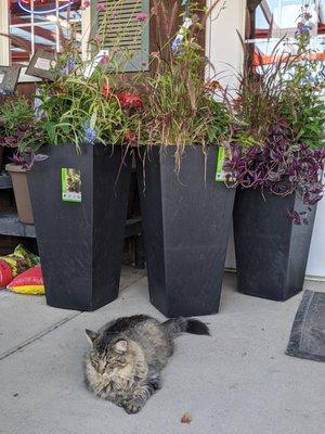 Custom planters.